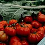 Film documentaire : Rencontres de l'alimentation durable