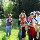 Comprendre et utiliser les plantes avec Cédric Cordonnier