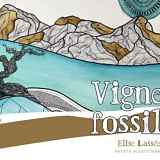 Vignes et fossiles