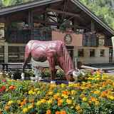 Maison du Fromage Abondance