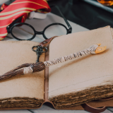 Conférence "Harry Potter, 25 ans de magie"