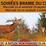 Soirées brame du cerf