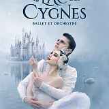 Spectacle : Le Lac des Cygnes