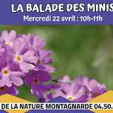 La Balade des Minis : Les minis couleurs de la nature