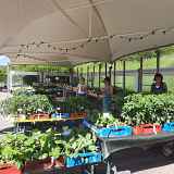 Pré-ouverture du jardin des cimes : terrasse & marché aux plantes