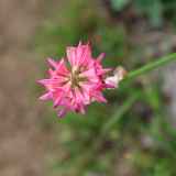 Sortie biodiversité
