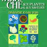 Marché aux plantes et saveurs.