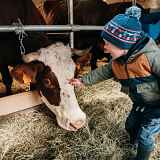 Visite de la ferme de l'Auboury