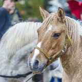 Fêtes locales, brocantes et foires, le programme en mai 2024 en Haute-Savoie