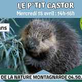 Les P'tits Experts de la Nature® - Le P'tit Castor