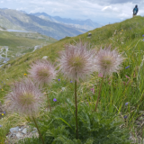 Sortie découverte de la biodiversité - Malgand