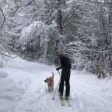 Piste de ski de randonnée : Gypaete