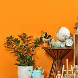 Brocante / Vide-grenier