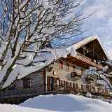 Les chalets traditionnels