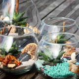 Atelier créatif : Création d'un TERRARIUM