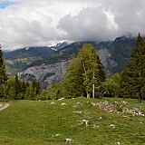 Sortie découverte de la biodiversité - Magland