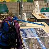 Atelier : Fonctionnement des glaciers