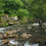 Le Borne