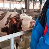 Visite et diner à la ferme