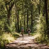 Bois de Vernaz