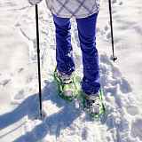 Randonnée raquettes encadrée à la Foilleuse avec Planet Gliss