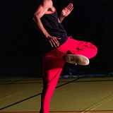 Spectacle Des danses & des luttes