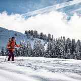 Les chalets de Pertuis