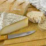 Conférence : Tout un fromage !