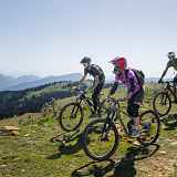 Trott’ Tonic  - Piste de descente VTT