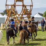 Folie(s) Végétales 2026