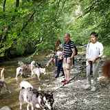 Canirandonnée avec husky - séance encadrée