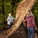 Le Festival des Cabanes 2026