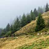 Bleue - G - Liaison Les Gets/ Morzine par les Mouilles