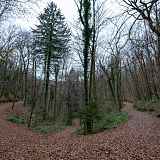 Boucle VTT du bois de ville