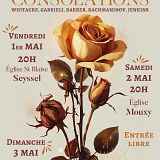 Concert Consolations