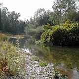 Rivière Les Usses