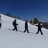 Sorties originales pour la journée du 26 février 2024