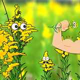 Mardi transpi : bye bye les invasives !