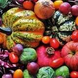 Vente de produits bio en circuit court par l'AMAP Les Paniers du Dahu