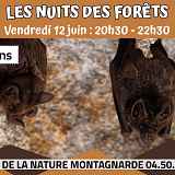 Les Nuits des Forêts