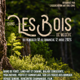 Dans les Bois de Megève