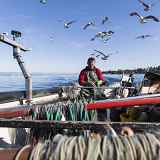 Hors d'oeuvre : Retour sur un patrimoine immatériel - les collectes orales des pêcheurs