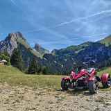Thollon Quad