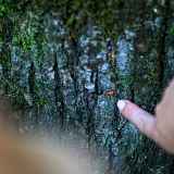 Atelier parent-enfant : Contes magiques et créations nature