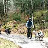 Activités chiens nordiques sur le plateau des Moises