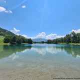 Découverte de la botanique