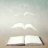 Et si votre prochaine aventure était un livre ?