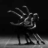 Spectacle - Le survol des routes de la soie
