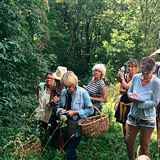 Visite Guidée du Jardin