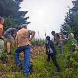 BIODIV'ILETTES - Chantiers de lutte contre les plantes invasives